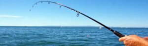 Fishing Trips