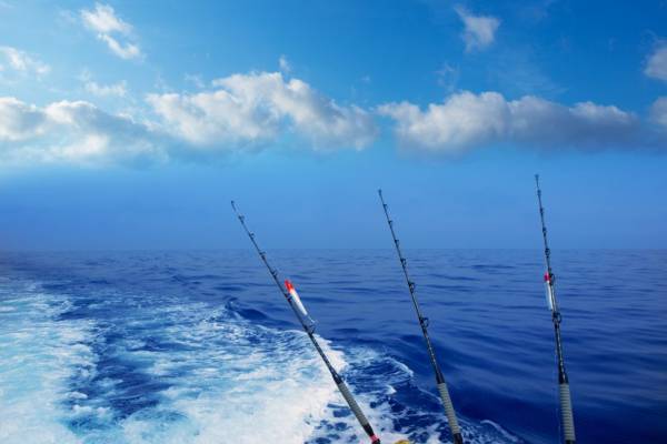 Fishing in Charleston Fishing in Charleston