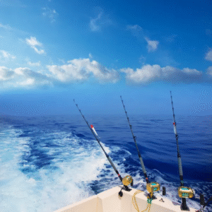 Top Deep Sea Fishing Destination